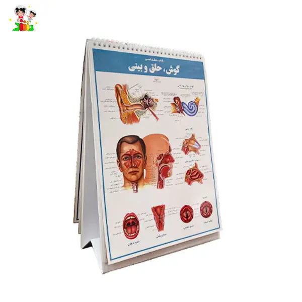 کتاب اطلس کالبد شناسی(آناتومی) بدن انسان | اندیشه کهن